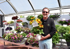 Steve Jones with Greenfuse Botanicals presenting the Rudbeckia Rising Sun Chesnut Gold. This large flowered variety flowers day light neutral. It flowers in 12 weeks, any time of the year. “Usually they flower late in summer and only blooms on very long days, but this variety already flowers under short days.”